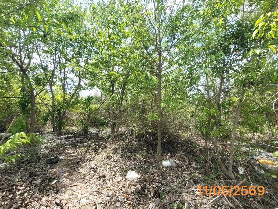 รูป ที่ดินว่างเปล่า 150 ตร.วา เมืองกระบี่ กระบี่ 995,000 - รูปที่ 11/15