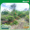 listing thumbnail image 12