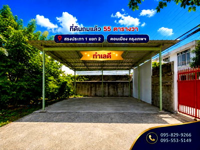ที่ดิน ม.รังสิต : ขายที่ดินถมนานแล้ว 55 ตรว.ล้อมรั้ว4 ด้าน ติดถนนสาธารณะ สรงประภา 1 แยก 2 ใกล้สนามบินดอนเมือง ดอนเมือง กรุงเทพ