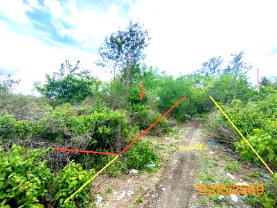ขายที่ดิน : ที่ดินว่างเปล่า 150 ตร.วา เมืองกระบี่ กระบี่ 995,000