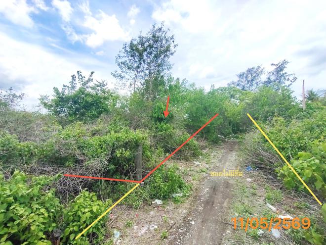 รูป ที่ดินว่างเปล่า 150 ตร.วา เมืองกระบี่ กระบี่ 995,000 - รูปที่ 1/15