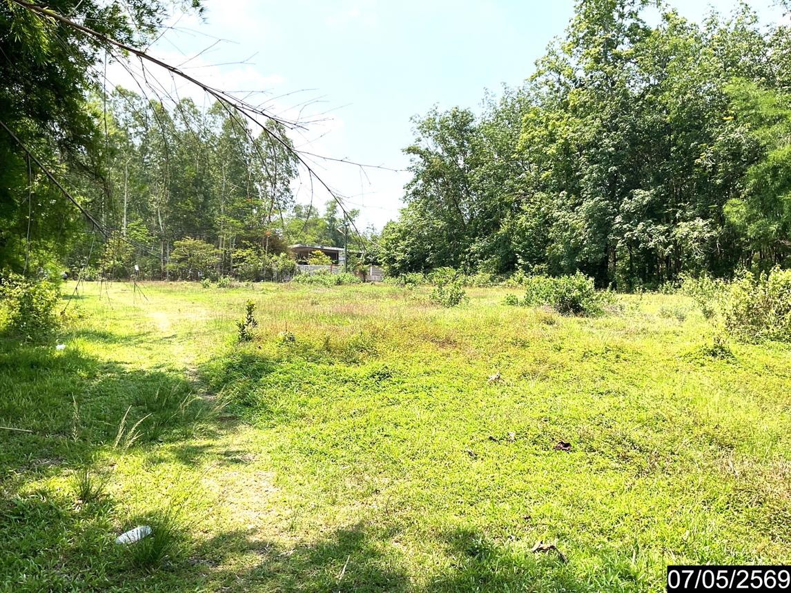 picture LAND 2302 Sq.w. Nongkai for 7.8M - 19/25