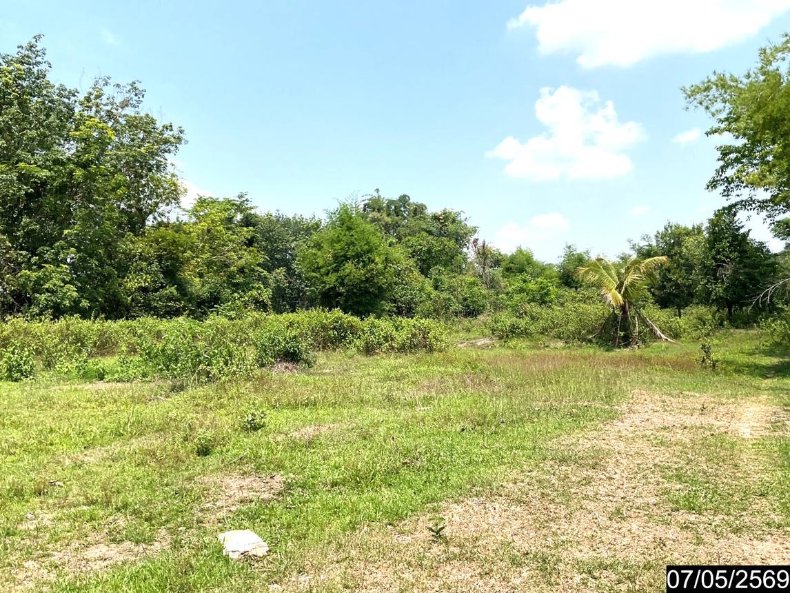 picture LAND 2302 Sq.w. Nongkai for 7.8M - 16/25