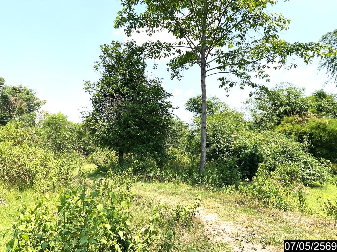 picture LAND 2302 Sq.w. Nongkai for 7.8M - 17/25
