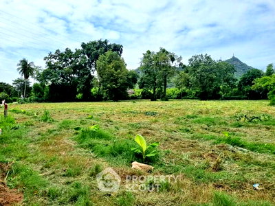 Land for sale Chonburi : Land For Sale 93 Sqm Bang Phra Si Racha Chon Buri (🏡) (ID 2973665)