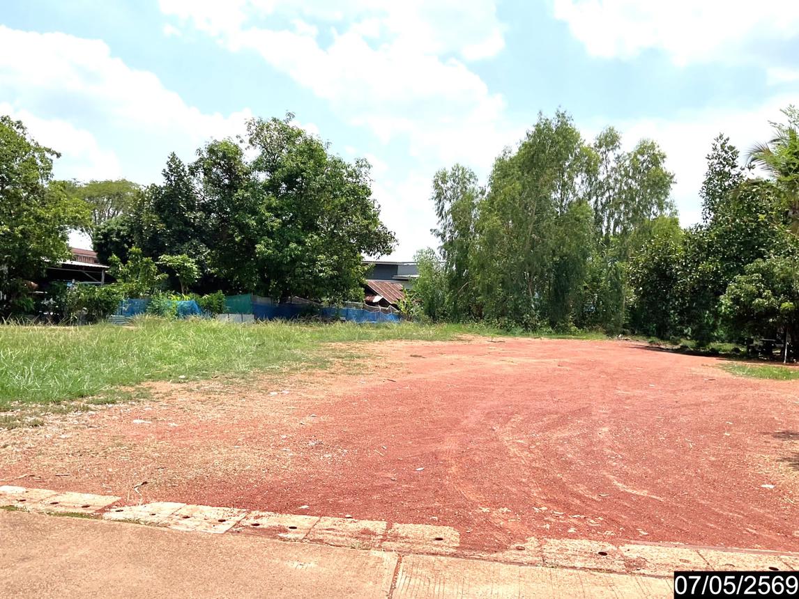 picture LAND 256 Sq.w. Nongkai for 1.6M - 9/15