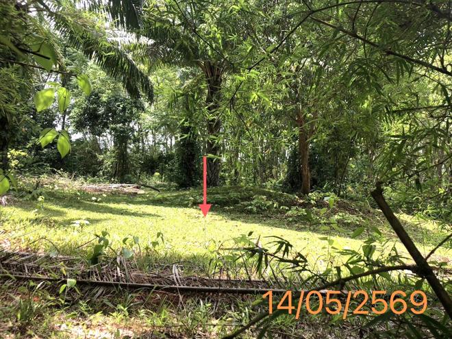 รูป ที่ดินว่างเปล่า 1120 ตร.วา คลองท่อม กระบี่ 1.7M - รูปที่ 5/17