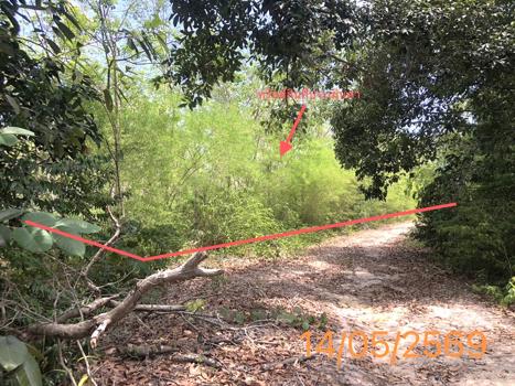 รูป ที่ดินว่างเปล่า 4370 ตร.วา คลองท่อม กระบี่ 35.8M - รูปที่ 18/21