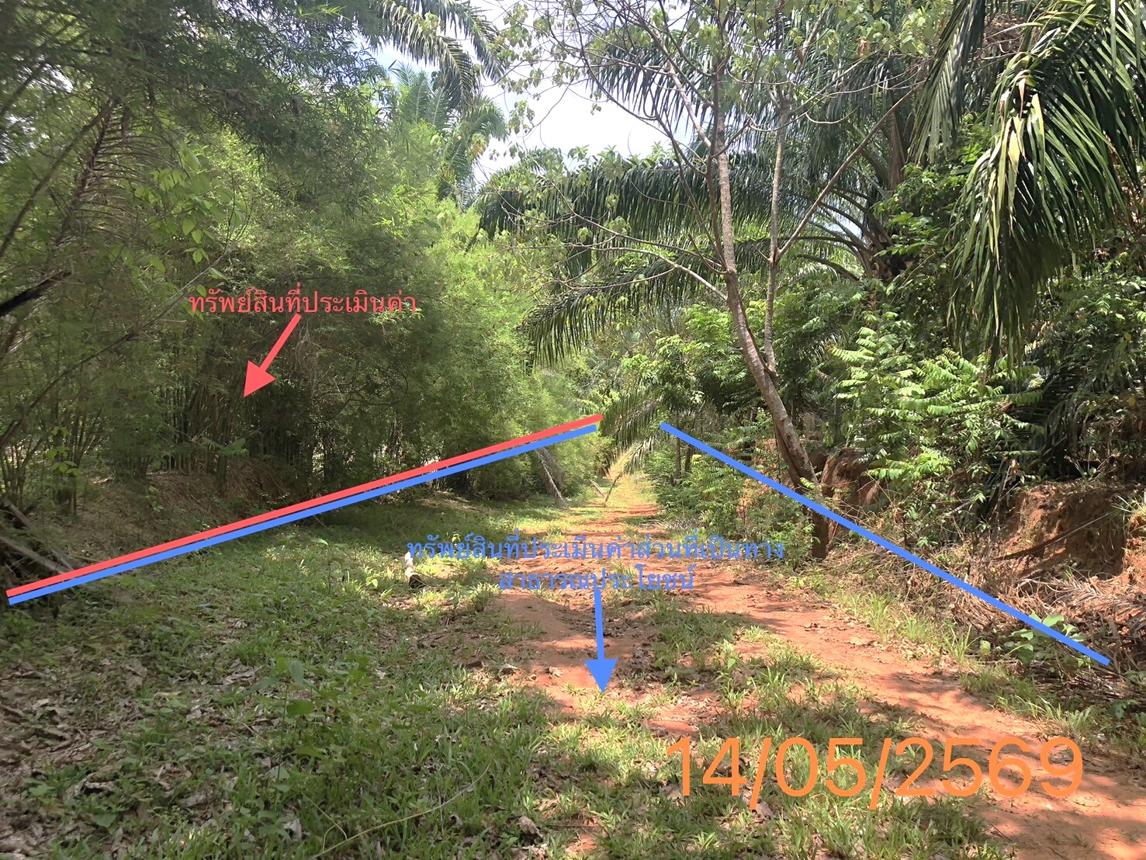 รูป ที่ดินว่างเปล่า 1120 ตร.วา คลองท่อม กระบี่ 1.7M - รูปที่ 13/17