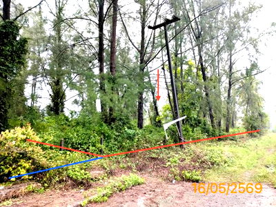 ที่ดิน ตะกั่วป่า พังงา : ที่ดินว่างเปล่า 10953.7 ตร.วา ตะกั่วป่า พังงา 57.5M