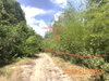 listing thumbnail image 12