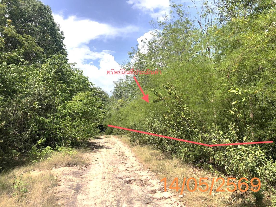 รูป ที่ดินว่างเปล่า 4370 ตร.วา คลองท่อม กระบี่ 35.8M - รูปที่ 13/21