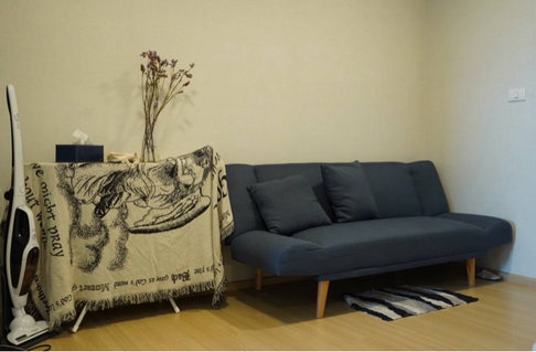 For Rent: Plum Alive 1 🏢 Building B, 8th Floor 🌴🏊 Outdoor view 