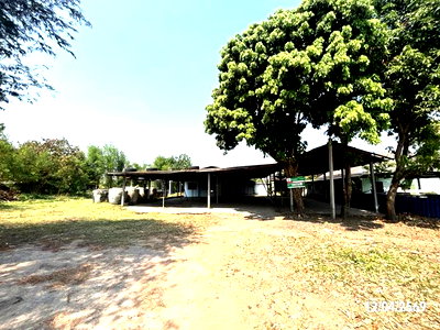 บ้านเดี่ยว นครราชสีมา (โคราช) : บ้านเดี่ยว 494 ตร.วา โนนสูง นครราชสีมา 1.2M