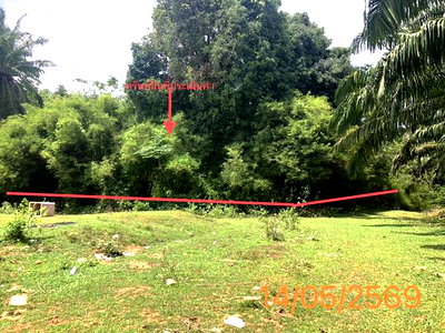 ขายที่ดิน : ที่ดินว่างเปล่า 1120 ตร.วา คลองท่อม กระบี่ 1.7M