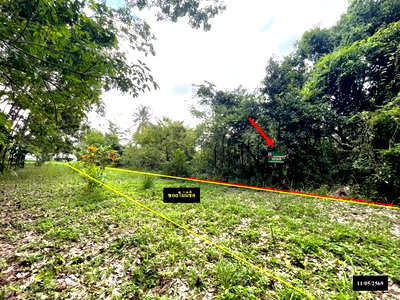 ขายที่ดิน : ที่ดินว่างเปล่า 179 ตร.วา ส่องดาว สกลนคร 286,000