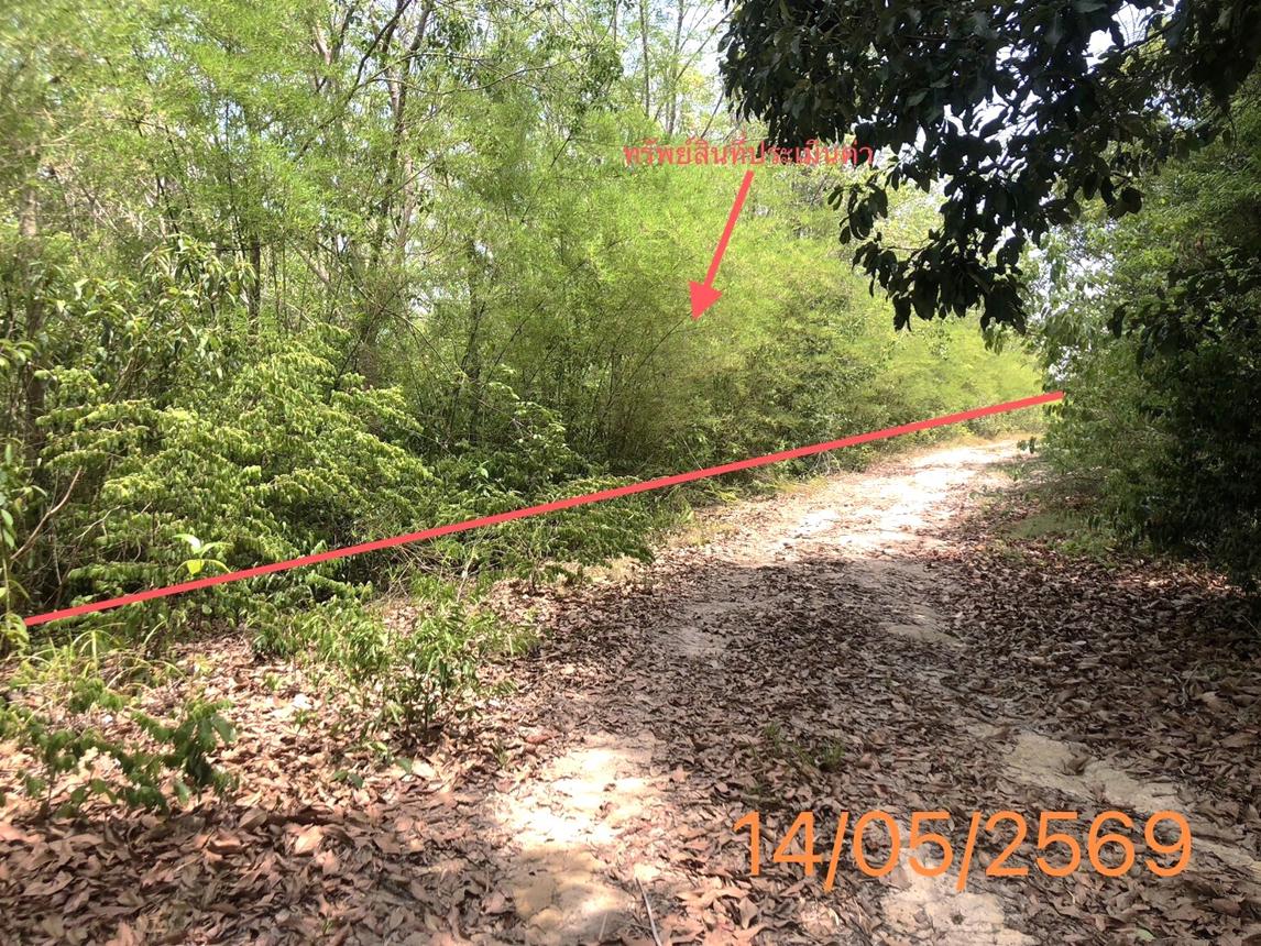 รูป ที่ดินว่างเปล่า 4370 ตร.วา คลองท่อม กระบี่ 35.8M - รูปที่ 11/21