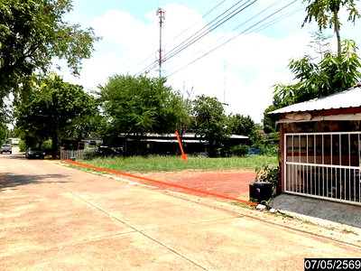 ขายที่ดิน : ที่ดินว่างเปล่า 256 ตร.วา ศรีวิไล บึงกาฬ 1.6M