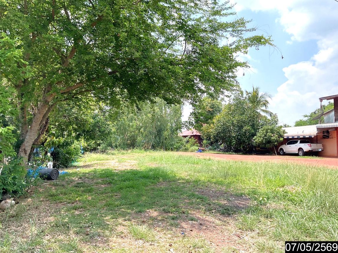 picture LAND 256 Sq.w. Nongkai for 1.6M - 10/15