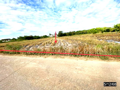 ขายที่ดิน : ที่ดินว่างเปล่า 880 ตร.วา เมืองกาฬสินธุ์ กาฬสินธุ์ 803,000