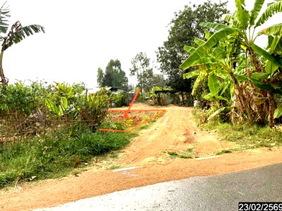 ที่ดิน นครราชสีมา (โคราช) : ที่ดินว่างเปล่า 752.5 ตร.วา โชคชัย นครราชสีมา 1.1M