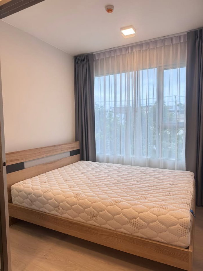 picture Plum Condo Sukhumvit            62 - 2/8