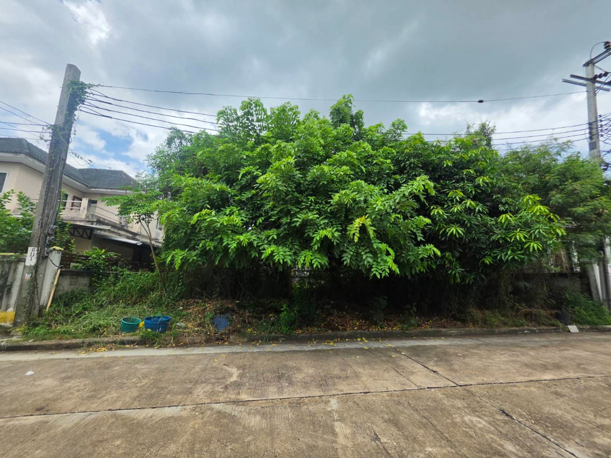 รูป sss552 ขายที่ดิน หมุ่บ้าน กฤษดากร 18 ถนนพุทธมณฑลสาย 3 - รูปที่ 8/12