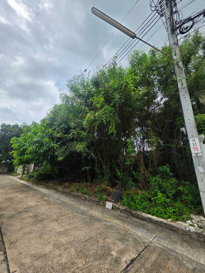 รูป sss552 ขายที่ดิน หมุ่บ้าน กฤษดากร 18 ถนนพุทธมณฑลสาย 3 - รูปที่ 2/12