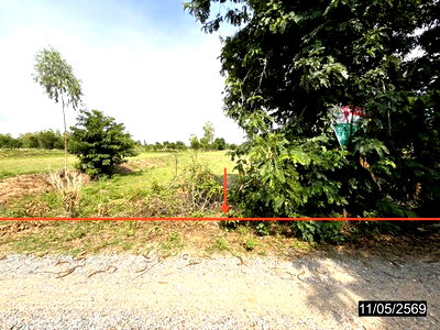 ที่ดิน ขอนแก่น : ที่ดินว่างเปล่า 2621.3 ตร.วา พล ขอนแก่น 1.2M