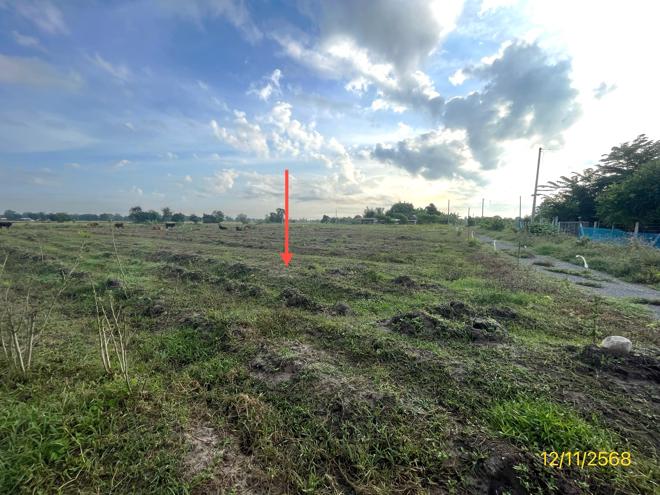 รูป ที่ดินว่างเปล่า 2473 ตร.วา เลาขวัญ กาญจนบุรี 1.5M - รูปที่ 4/19