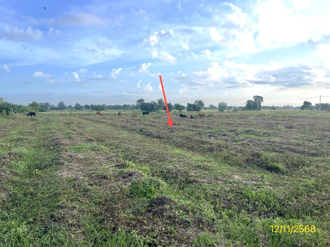 รูป ที่ดินว่างเปล่า 2473 ตร.วา เลาขวัญ กาญจนบุรี 1.5M - รูปที่ 12/19