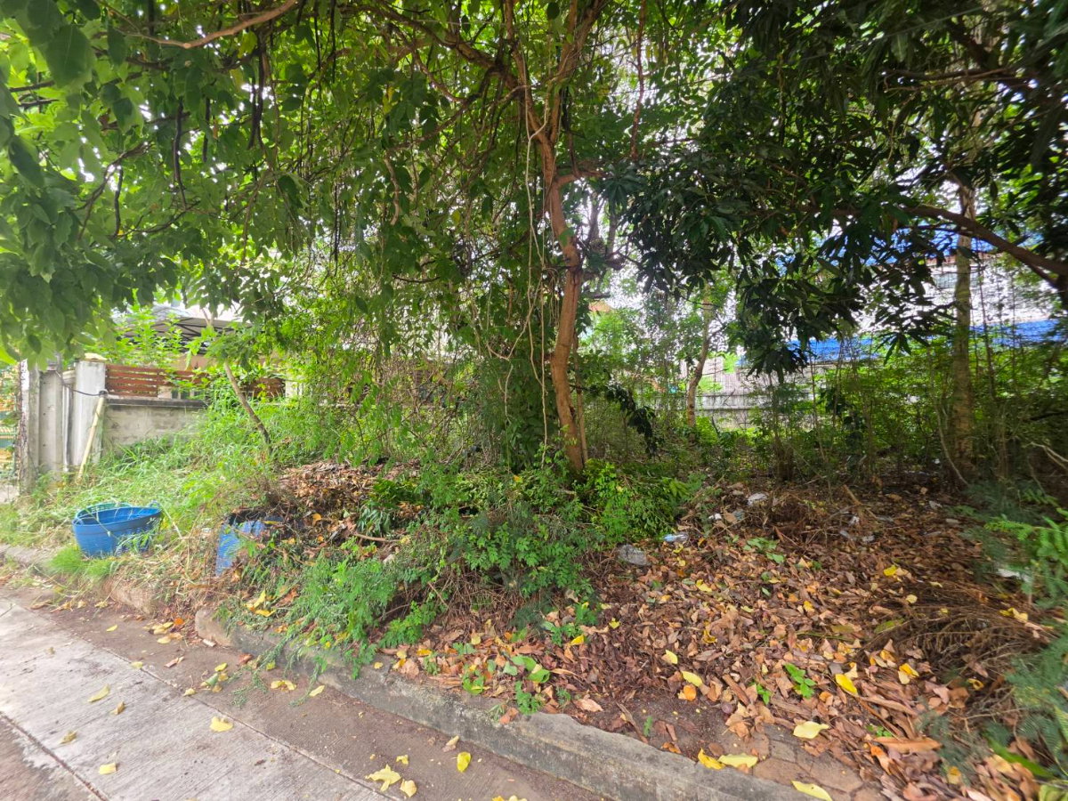 รูป sss552 ขายที่ดิน หมุ่บ้าน กฤษดากร 18 ถนนพุทธมณฑลสาย 3 - รูปที่ 4/12
