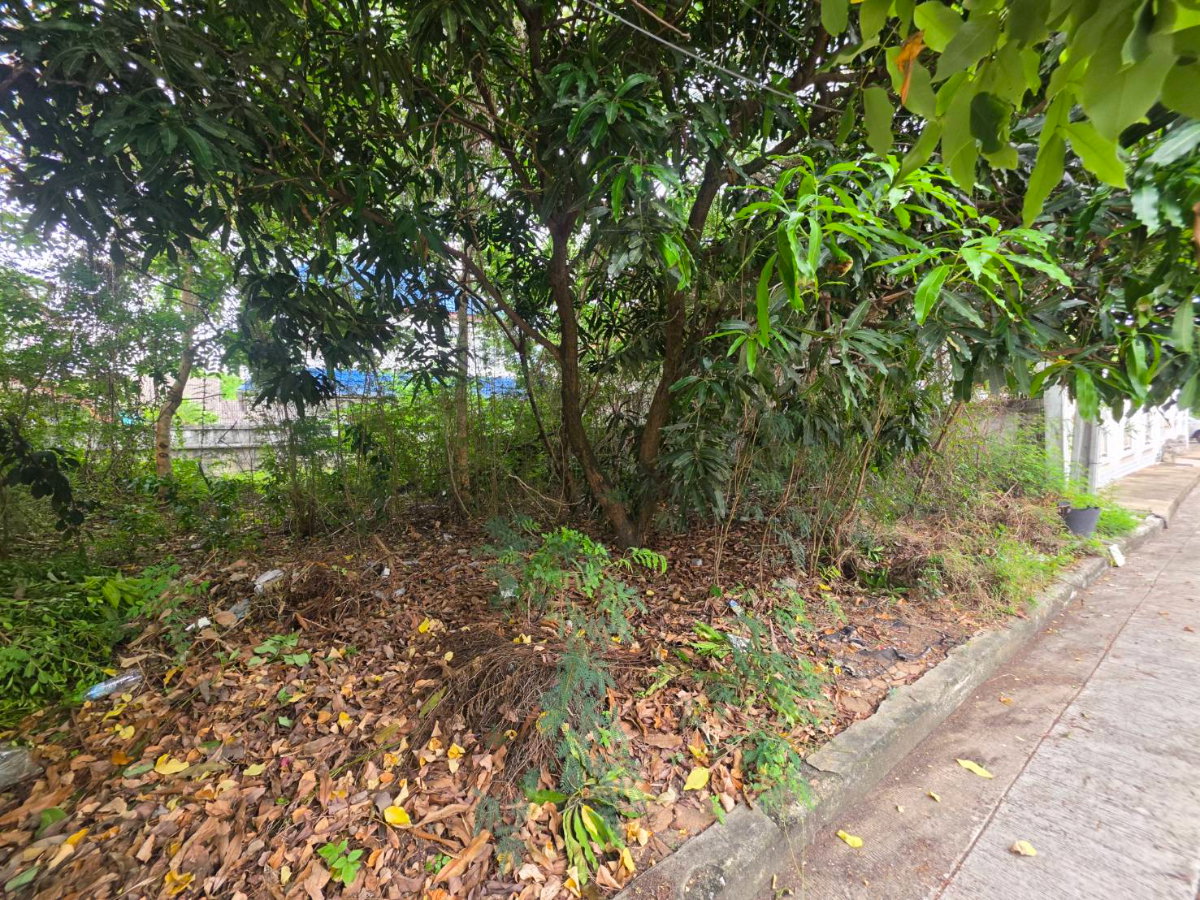 รูป sss552 ขายที่ดิน หมุ่บ้าน กฤษดากร 18 ถนนพุทธมณฑลสาย 3 - รูปที่ 3/12