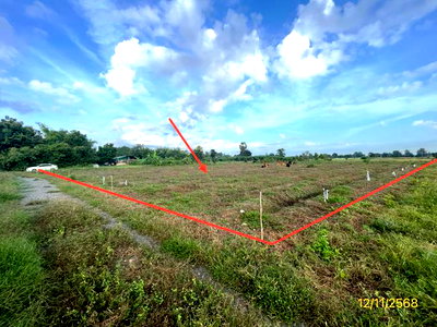 ขายที่ดิน : ที่ดินว่างเปล่า 2473 ตร.วา เลาขวัญ กาญจนบุรี 1.5M