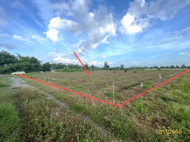 รูป ที่ดินว่างเปล่า 2473 ตร.วา เลาขวัญ กาญจนบุรี 1.5M - รูปที่ 1/19