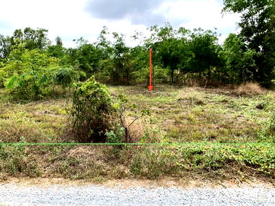 ขายที่ดิน : ที่ดินว่างเปล่า 1600 ตร.วา หนองหญ้าไซ สุพรรณบุรี 1.6M