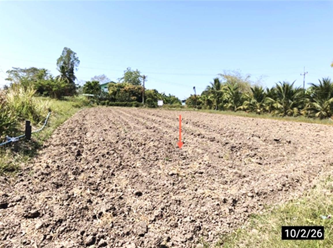รูป ที่ดินว่างเปล่า 212.4 ตร.วา เมืองขอนแก่น ขอนแก่น 850,000 - รูปที่ 16/21