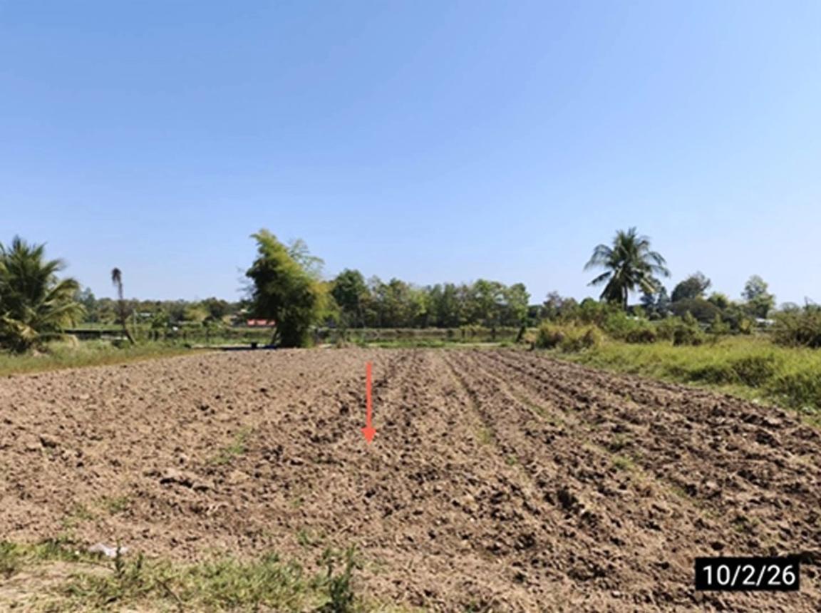 รูป ที่ดินว่างเปล่า 212.4 ตร.วา เมืองขอนแก่น ขอนแก่น 850,000 - รูปที่ 15/21