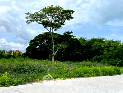 Land for sale Chonburi : Land For Sale At Jomtien Beach, Nong Prue, Chon Buri (ID 2973487)