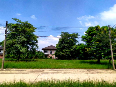 ขายที่ดิน : ขายที่ดิน พร้อมปลูกบ้านอาศัย สามโคก ปทุมธานี ใกล้ตลาดโรงเกลือท้ายเกาะ เดอะลากูน 3 สามโคก (The Lagoon 3) 