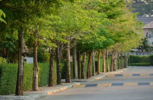 รูป Regent 1 - รูปที่ 5/6