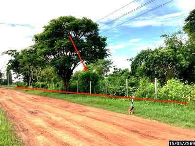 ขายที่ดิน : ที่ดินว่างเปล่า 1124.3 ตร.วา เมืองสกลนคร สกลนคร 1.4M
