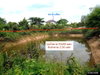 listing thumbnail image 18
