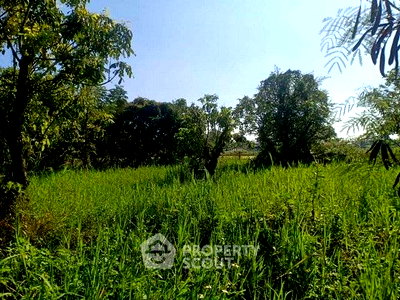 Land for sale Chiang Mai : Land For Sale Near Tube Trek Waterpark, Ton Pao Chiang Mai (ID 2980146)