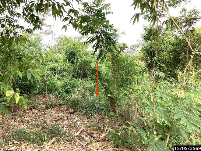 รูป ที่ดินว่างเปล่า 1124.3 ตร.วา เมืองสกลนคร สกลนคร 1.4M - รูปที่ 5/23