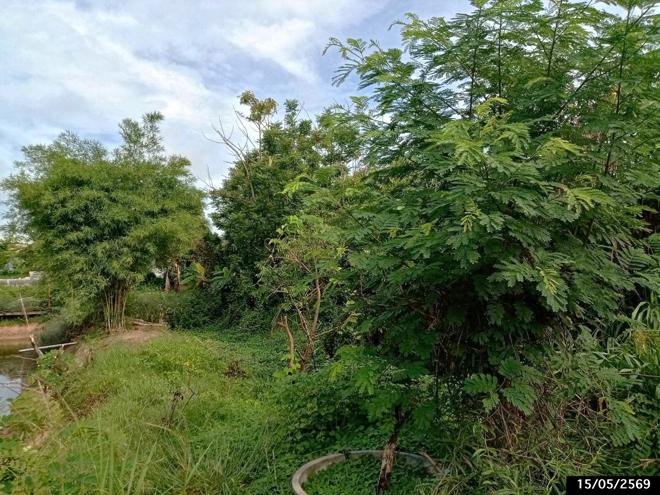 รูป ที่ดินว่างเปล่า 1124.3 ตร.วา เมืองสกลนคร สกลนคร 1.4M - รูปที่ 8/23