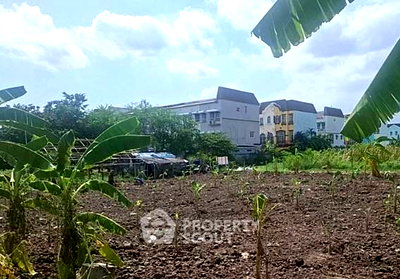 ที่ดิน อ่อนนุช 46 : ขายที่ดินเปล่า ทำเลสวนหลวง กรุงเทพ (ย่านสวนหลวง) (ID 2987159)