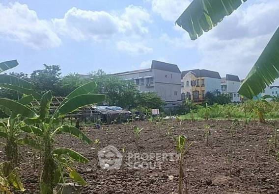 รูป ขายที่ดินเปล่า ทำเลสวนหลวง กรุงเทพ (ย่านสวนหลวง) (ID 2987159) - รูปที่ 1/5