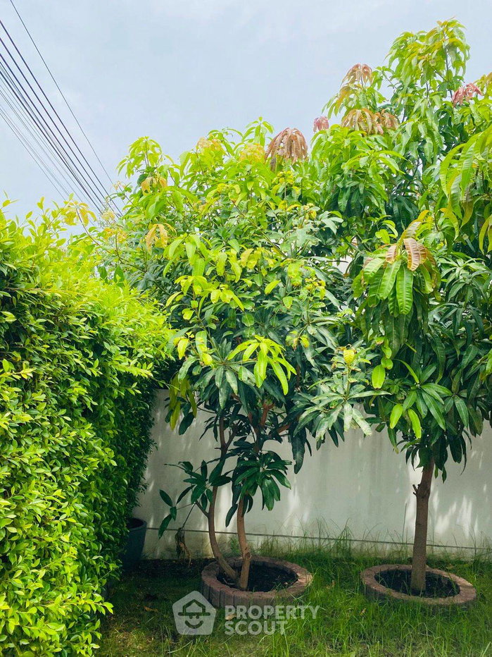 รูป ทาวน์โฮม 3 ห้องนอน ขาย บ้าน มานทนา อ่อนนุช-วงแหวน 5 ดอกไม้ (ID 2999006) - รูปที่ 5/40