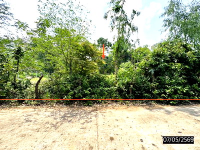ที่ดิน เมืองสรวง ร้อยเอ็ด : ที่ดินว่างเปล่า 277.4 ตร.วา เมืองสรวง ร้อยเอ็ด 555,000